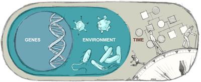 Nature and nurture: understanding phenotypic variation in inborn errors of immunity